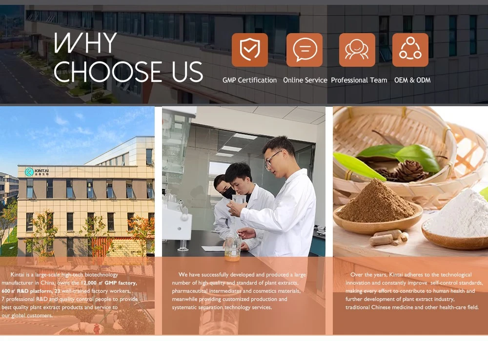 why choose kintai