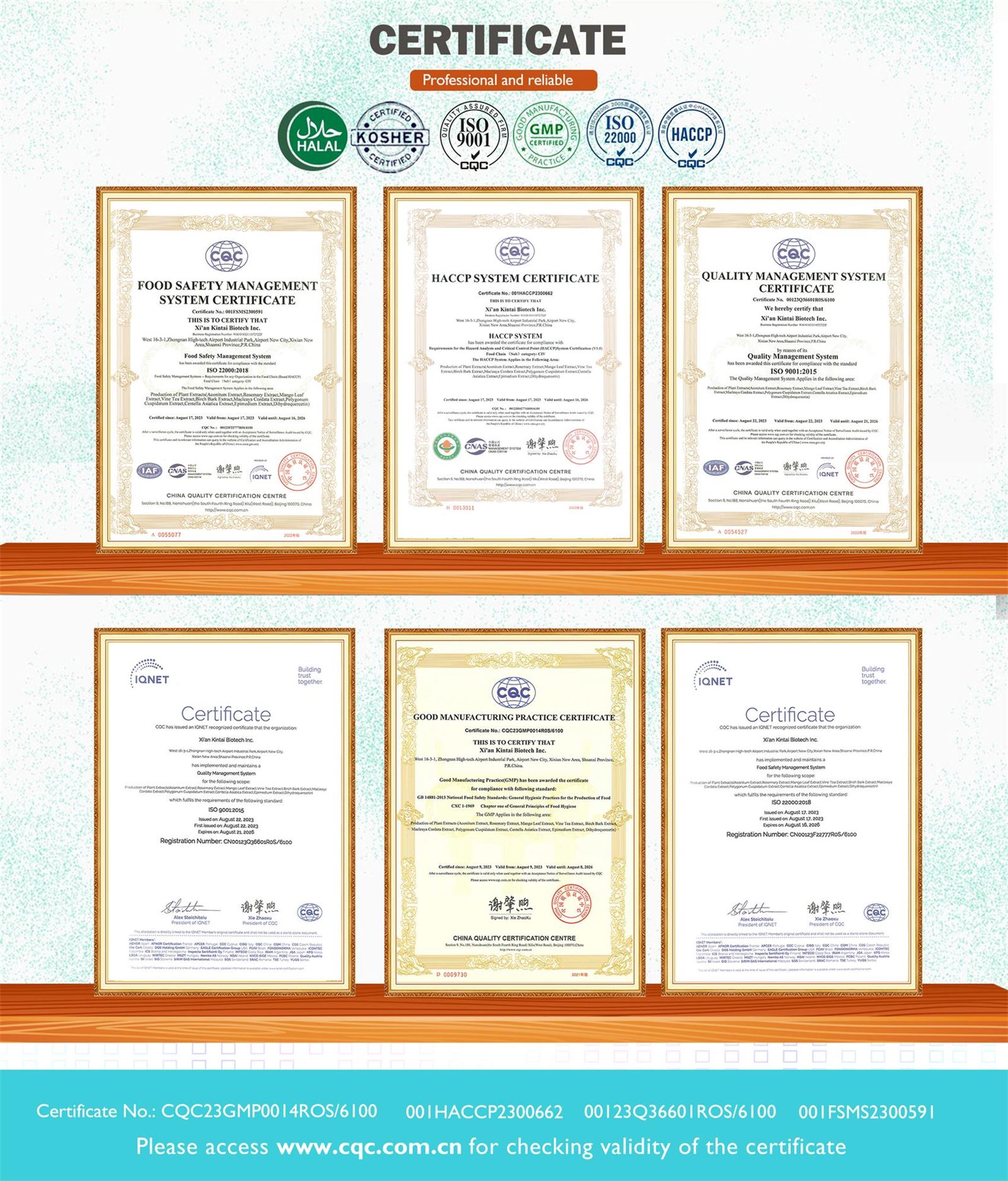 kintai certificates