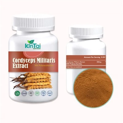 Cordyceps qo'ziqorin kapsulalari