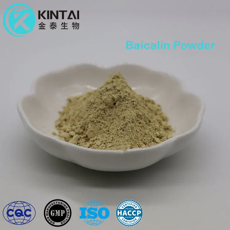 85 Baicalin Powder 85 Baicalin Powder
